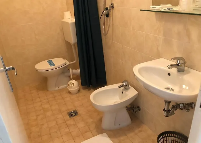 فندق Adriatico بيبيوني